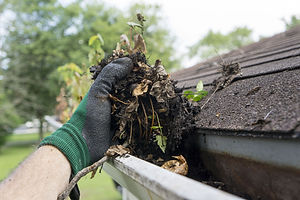 cleaning-gutters-during-the-summer-royal