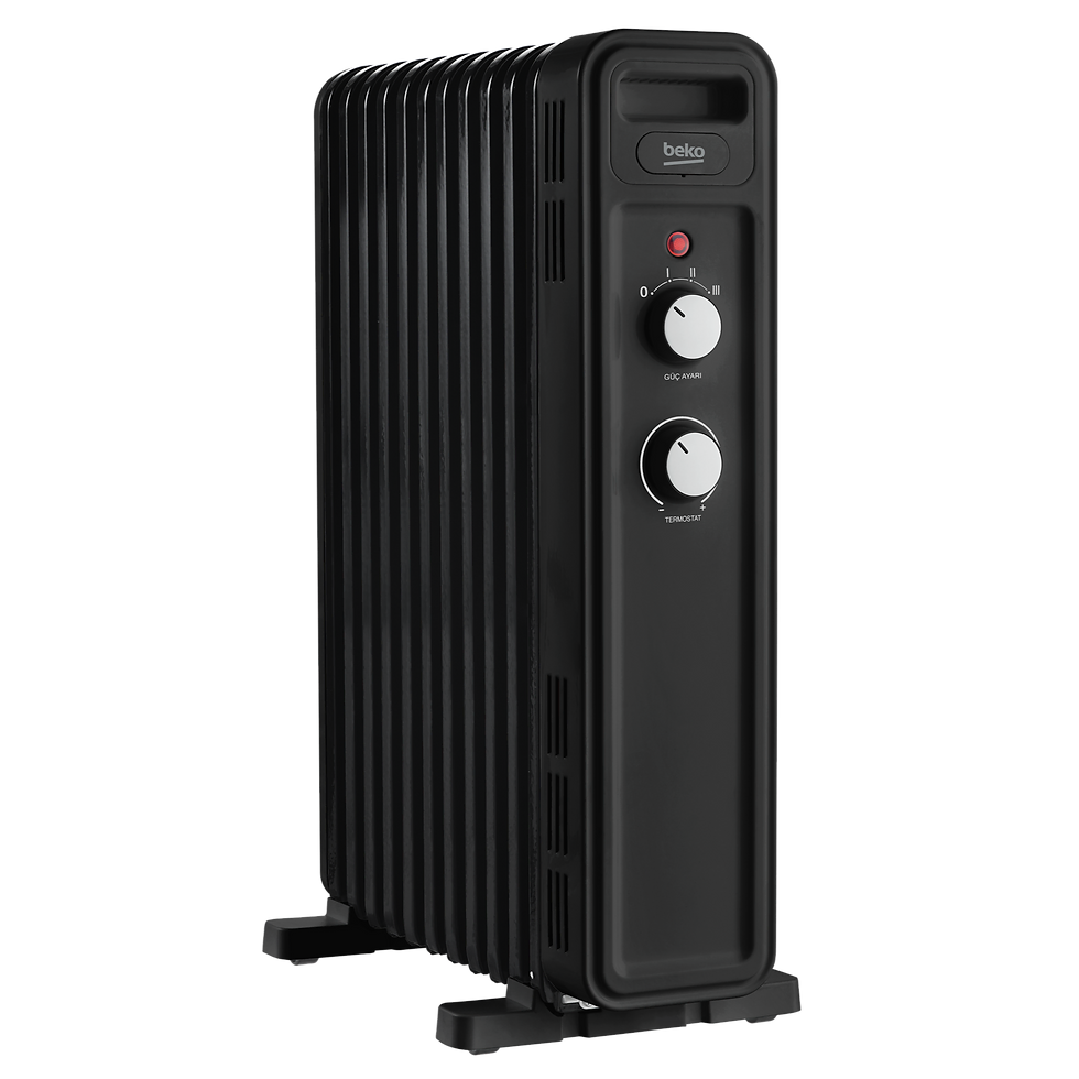 Küçük resim: BK RHO 11M Yağlı Radyatör