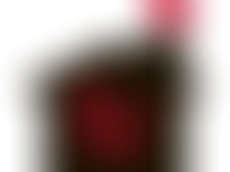 前橋市S様、茨城県法人様　中古住宅引渡しおめでとうございます。