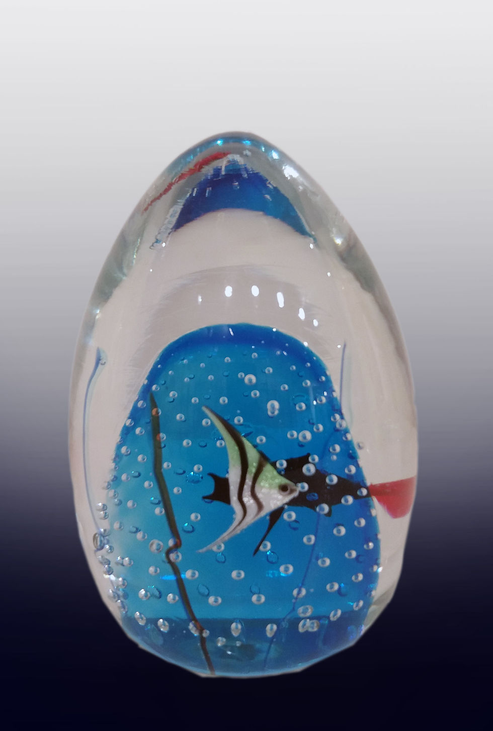 Miniaturbild: Aquarium "uovo" with Gold fish