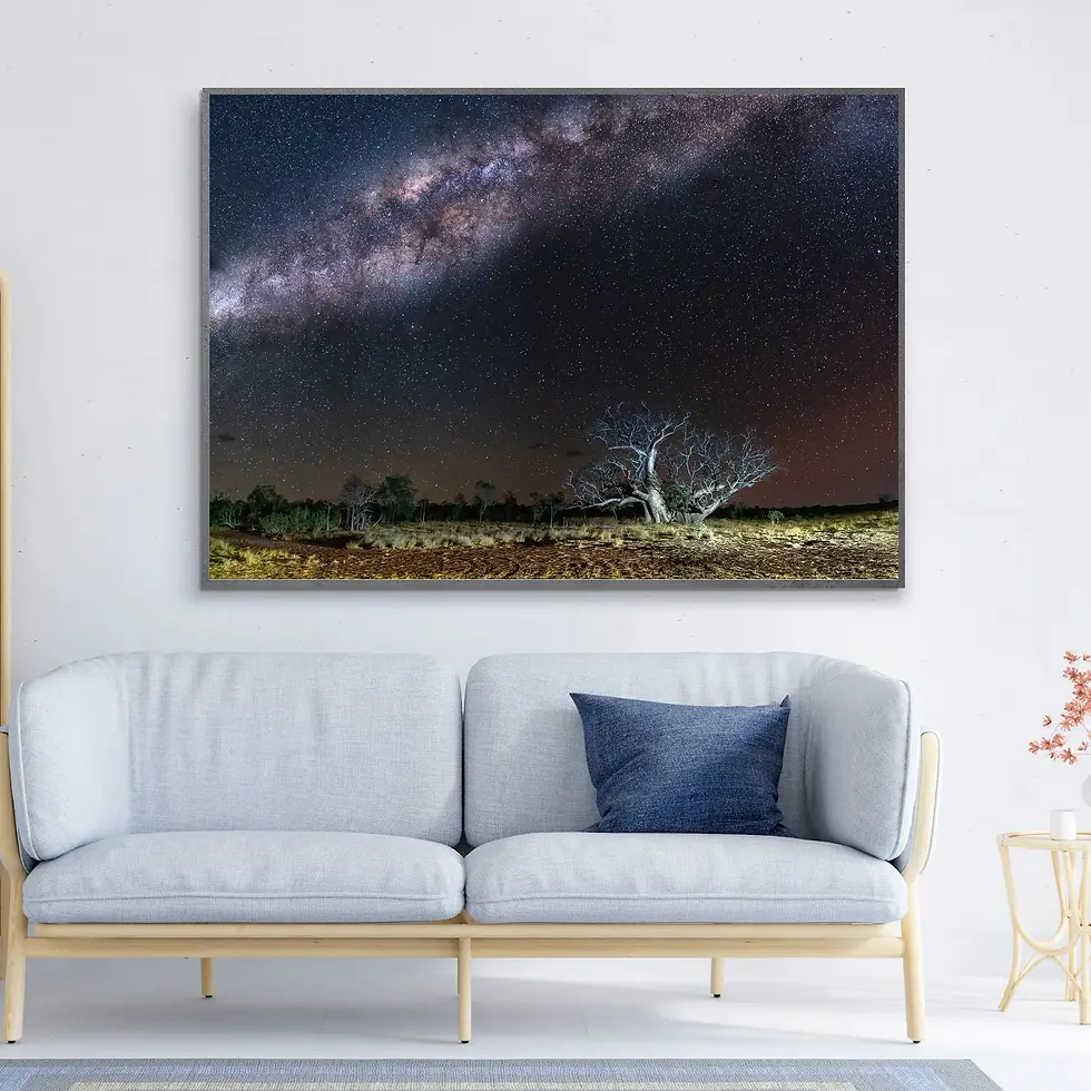 Thumbnail: BOAB FAMILY UNDER MILKY WAY