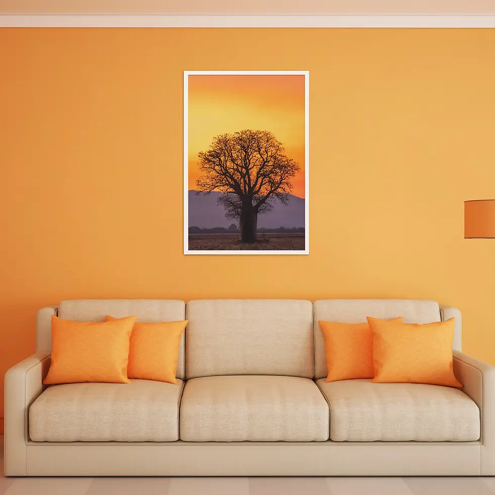 Thumbnail: BOAB SILHOUETTE IN FIERY SUNSET