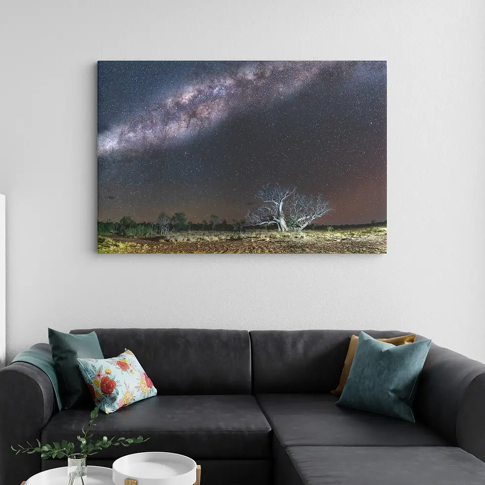 Thumbnail: BOAB FAMILY UNDER MILKY WAY