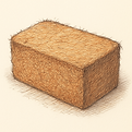 ChatGPT Image May 20, 2025, 04_27_00 PM.png