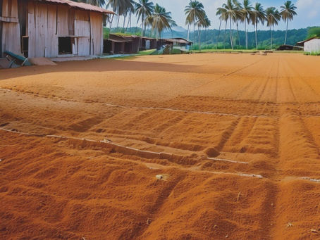Top 5 Mistakes Importers Make When Sourcing Cocopeat—And How to Avoid Them