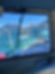Whales 1.JPG