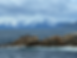 Wildlife Viewing Alaska