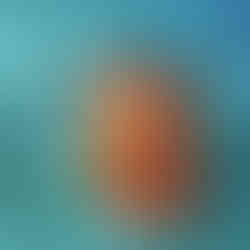 Komodo dragon Komodo Island