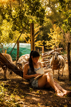 Lecture et Nature