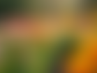 Essential Seasonal Property Care Tips for Every Home