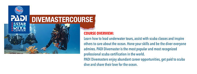 Image and link of PADI DIVEMASTER COURSE at Portulano Resort