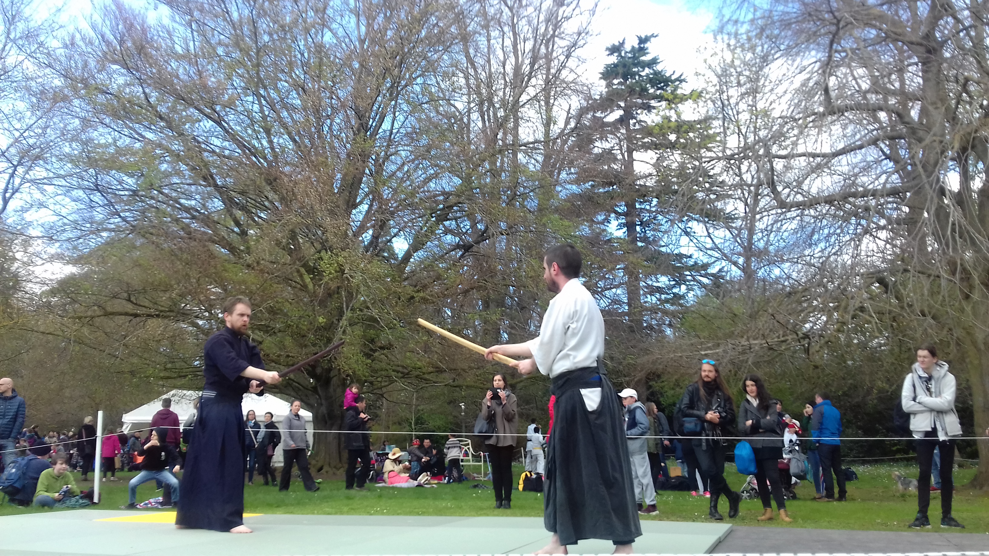 iaido phoenix iaido phoenix