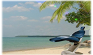 beachdentist.png