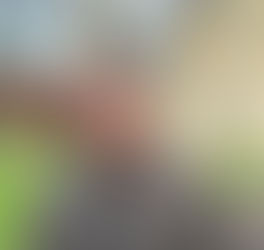 Vœux Mickaël DERANGEON