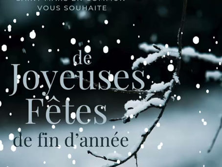 Joyeuses fêtes de fin d'année