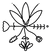 logo_herbaetellinae_Tavola disegno 1 copia 61.png