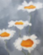 Daisies