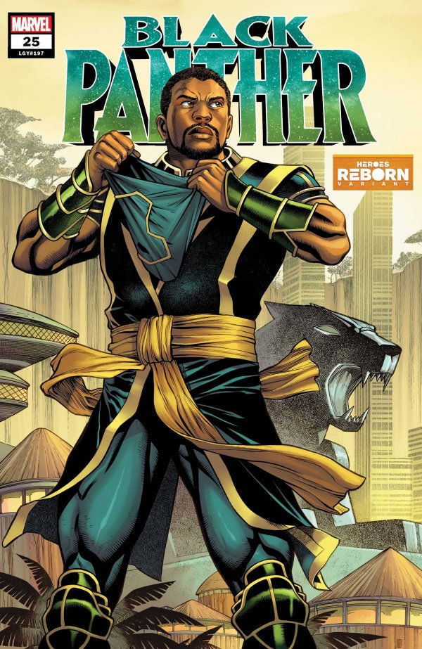 Black Panther Vol 7 #25 Cover B