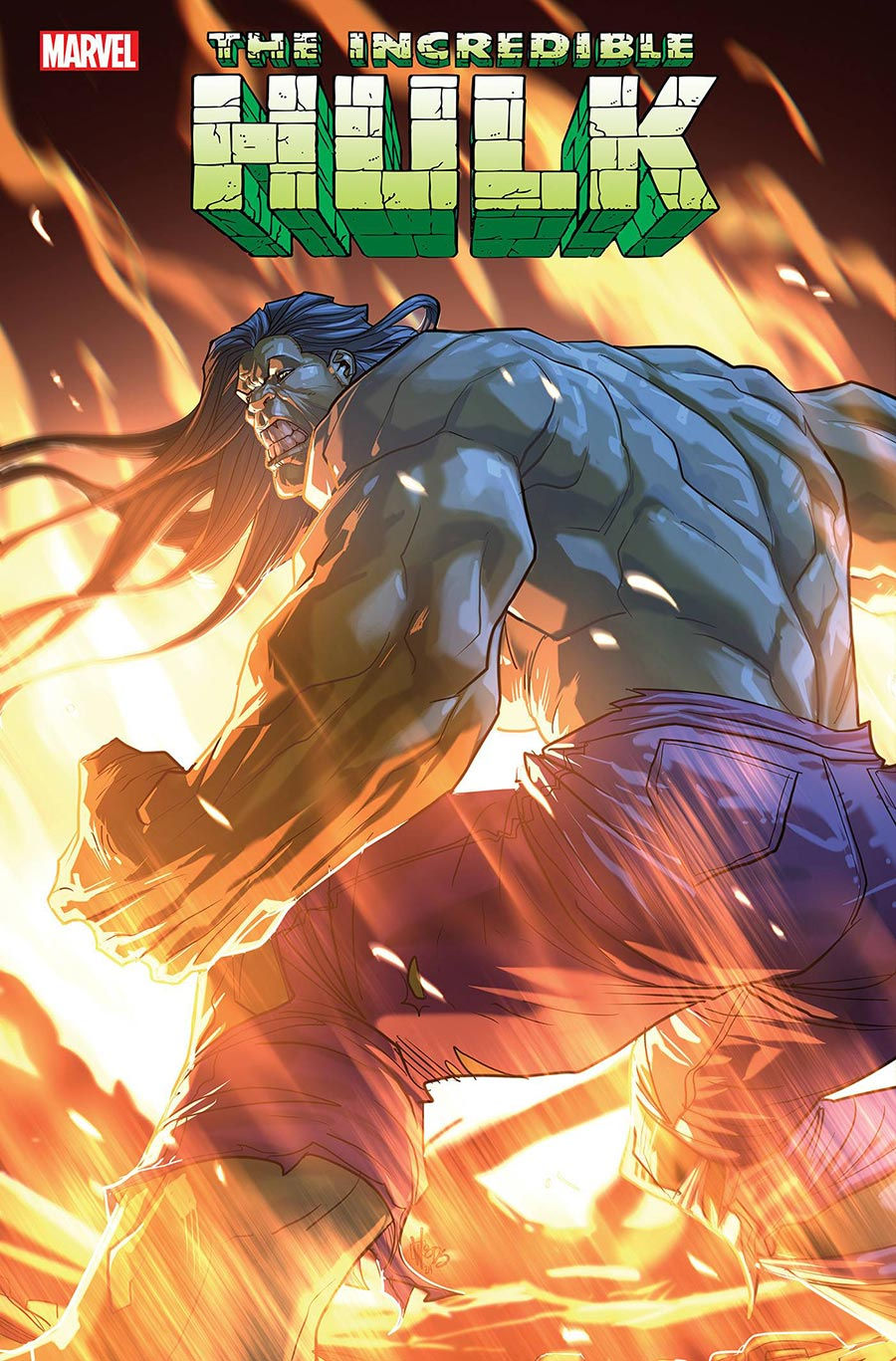 Incredible Hulk Vol 5 #19 Cover D