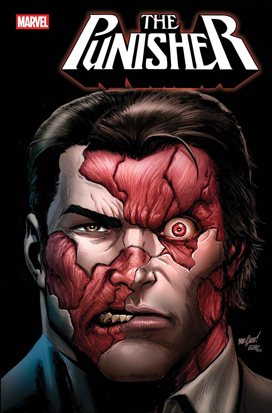 Punisher Vol 14 #2 Cover A