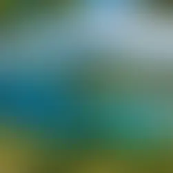 Komodo Island? Travel Guide to Indonesia's Unique Island Experience