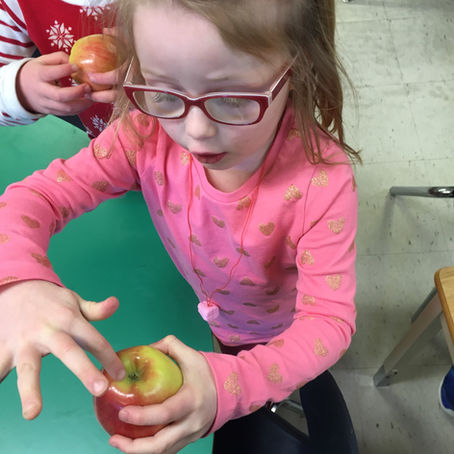 A Simple Science Experiment for Exploring our 5 Senses.