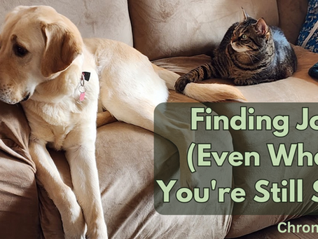 A cat and dog sitting on a beige couch.