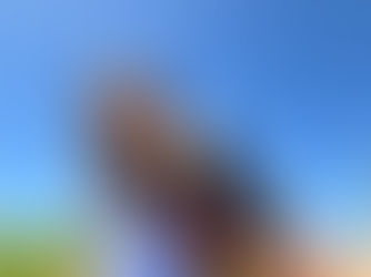 Unwrapping Presents: Gift Guide for the Axplorer