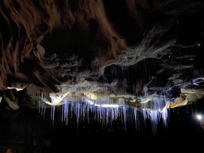 Ruakuri Cave, New Zealand