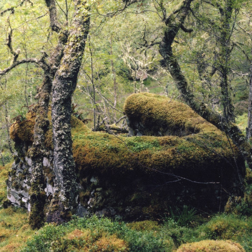 Landscape, Thought and Cultural Memory