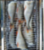 Ein Tischräucherofen wurde mit frisch gefangenen, küchenfertigen Barschen befüllt. Auf 2 Etagen befinden sich je 3 Exemplare mit den markanten roten Flossen.