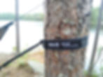 Die umgangssprachlich "Tree Hugger" genannten Aufhängungen der Firma ENO im Einsatz an einem Baum. Im Hintergrund ein Gewässer und eine Baumlinie.