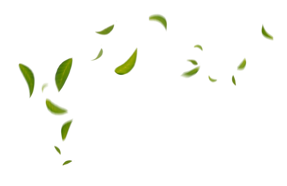 green-floating-leaves-flying-leaves-green-leaf-dancing-air-purifier-atmosphere-simple-main