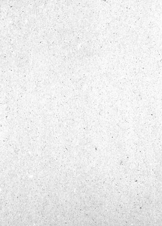 Recycled Paper
