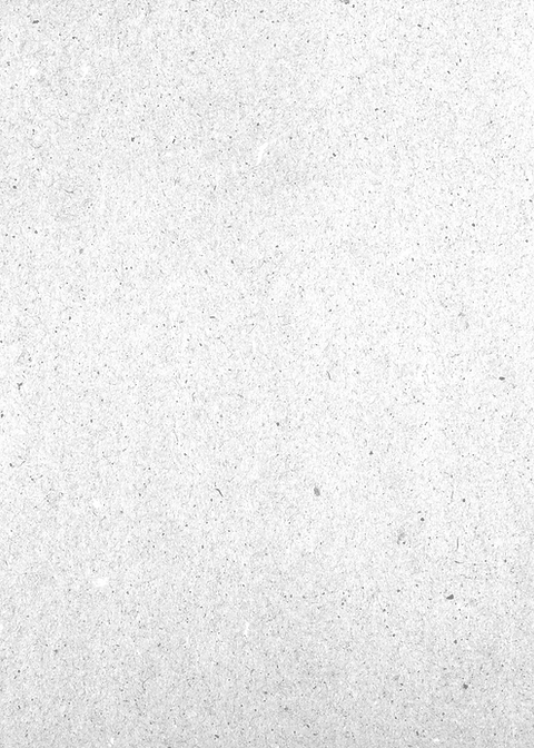 Light Gray Background