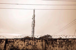 Not for sale _As a being I tell you _I am not for sale _But you put me in chains _Dumbed me down and