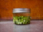 Dandelion-buds-leaves-whole-rebelwithjar