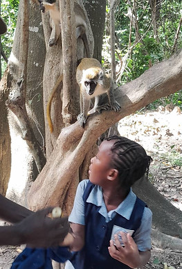 Monkey park