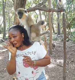 monkey park