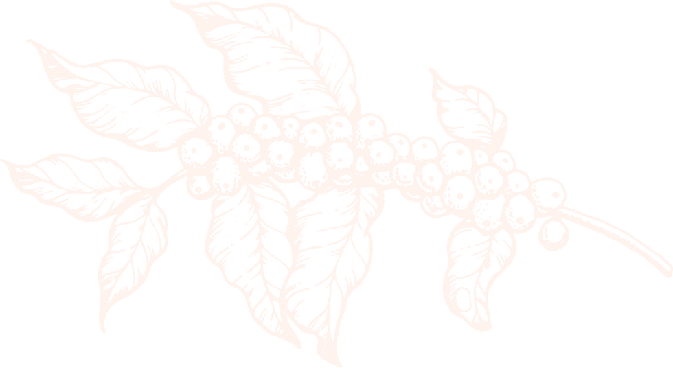 Element3-Cream-RGB.png
