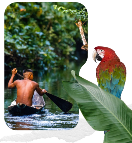 #64943A (14)_edited.png