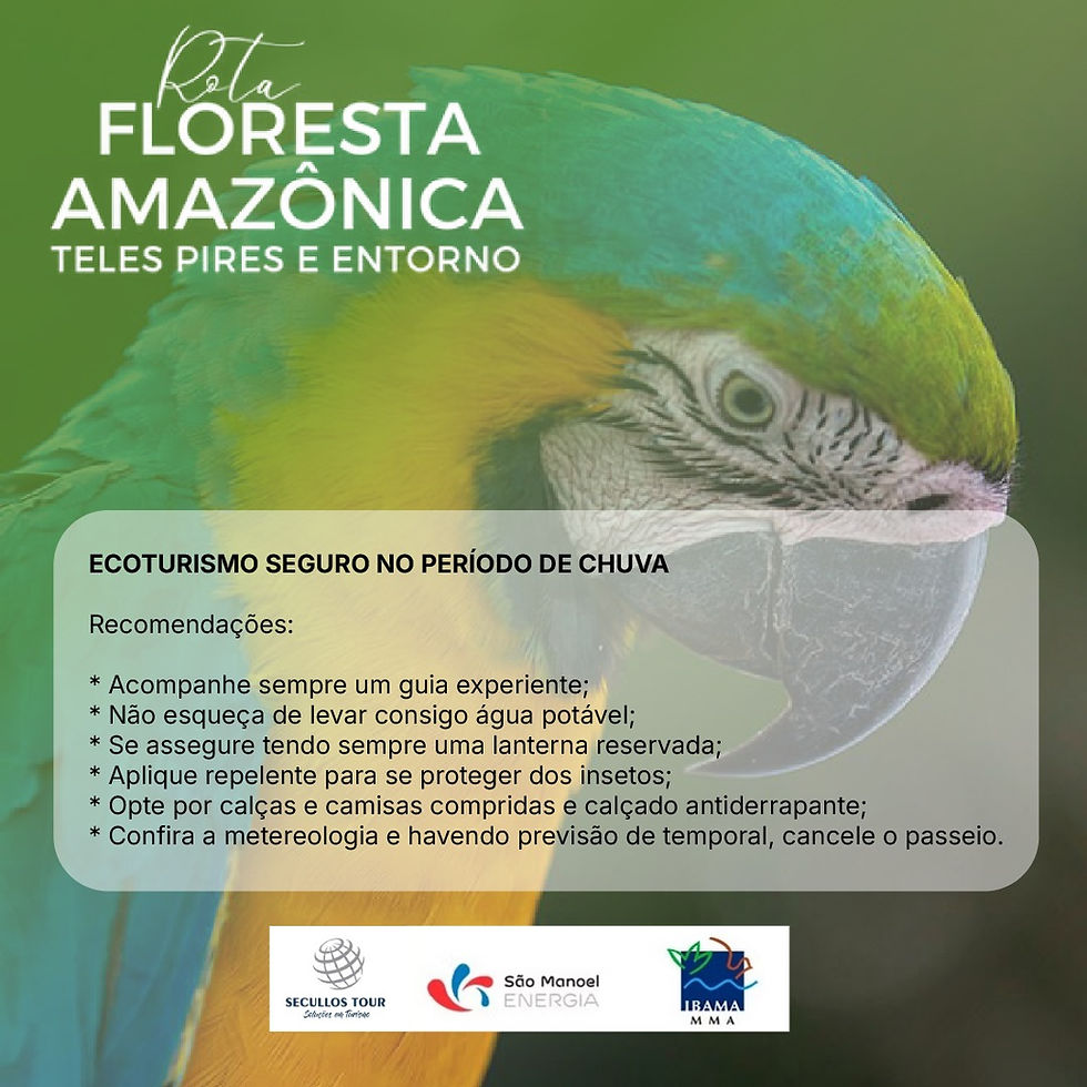 Imagem do WhatsApp de 2025-03-14 à(s) 13.59.42_f7f50376.jpg