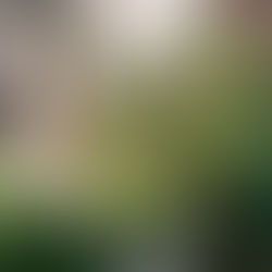 お問合せ急増！『手間のかからない庭』のロハスガーデンズが取り組む『庭じまい』とは？