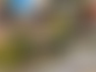 日本最大級!エクステリア専門展示会『EXG2025』レポート