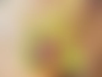 オンラインストアにて敬老の日フラワーギフト受付中です