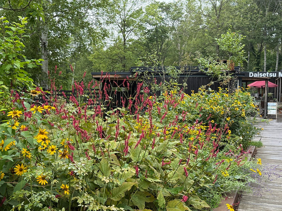 大雪森のガーデン入口アプローチの植栽