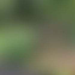 ＜森の迎賓館＞＜遊びの森＞自然とアートな遊び心でおもてなし｜北海道ガーデン街道をめぐる旅②「大雪森のガーデン」