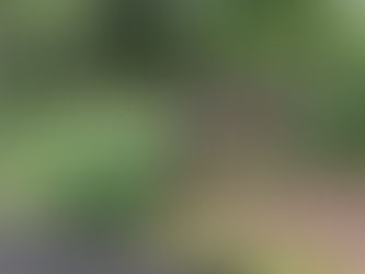 <森の迎賓館><遊びの森>自然とアートな遊び心でおもてなし|北海道ガーデン街道をめぐる旅②「大雪森のガーデン」