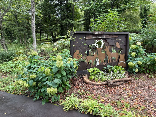 <森の迎賓館><遊びの森>自然とアートな遊び心でおもてなし|北海道ガーデン街道をめぐる旅②「大雪森のガーデン」