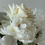 Thumbnail: Ivory Muse vase arrangement 